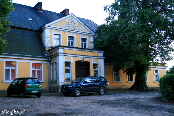 gryzyna